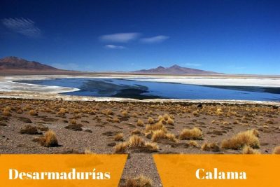 Desarmadurías Calama