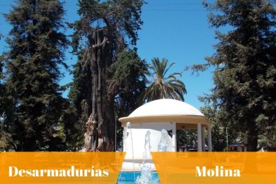 Desarmadurías en Molina